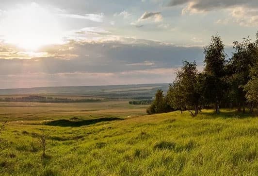 Окрестности деревни Вертягино